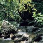 Il torrente Ravella