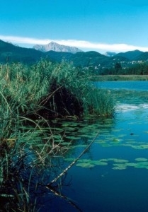 riserva naturaloe lago di alserio