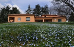 montesino